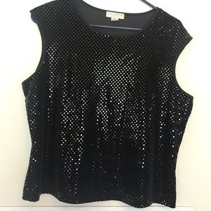 Petite Sophisticate Iridescent Velvet Top